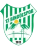 12 Bingölspor