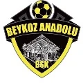 Beykoz Anadolu Spor A.Ş. arması
