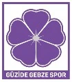 Güzide Gebze Spor Kulübü
