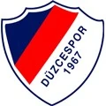 Düzce Cam Düzcespor arması