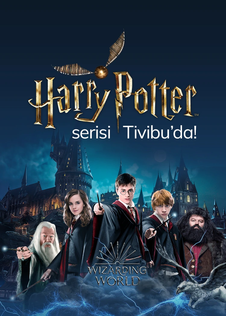 anasayfa-5-harrypotter